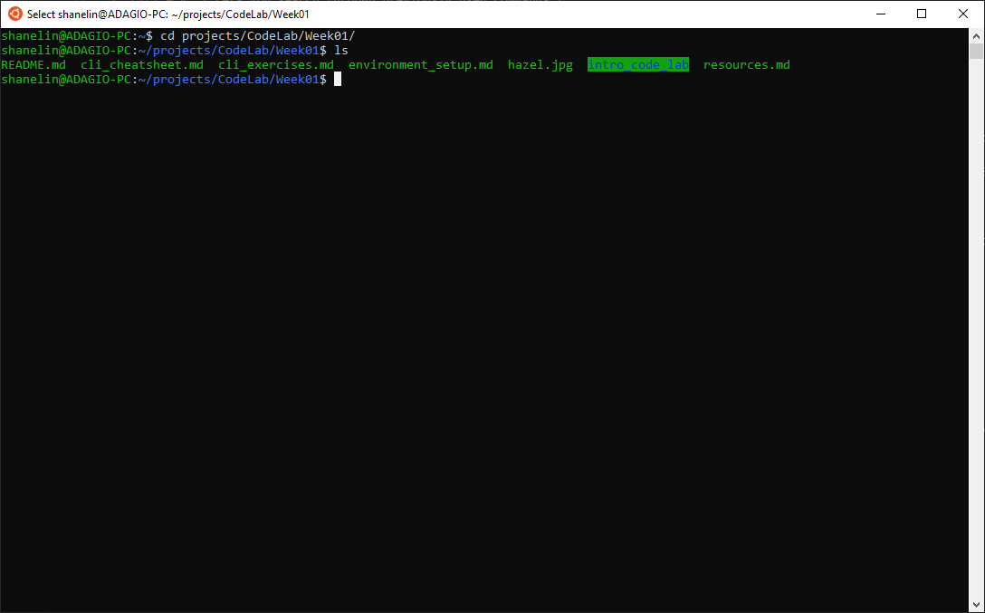 "WSL Bash"