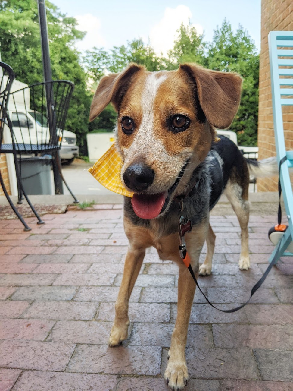 Hazel says hello!